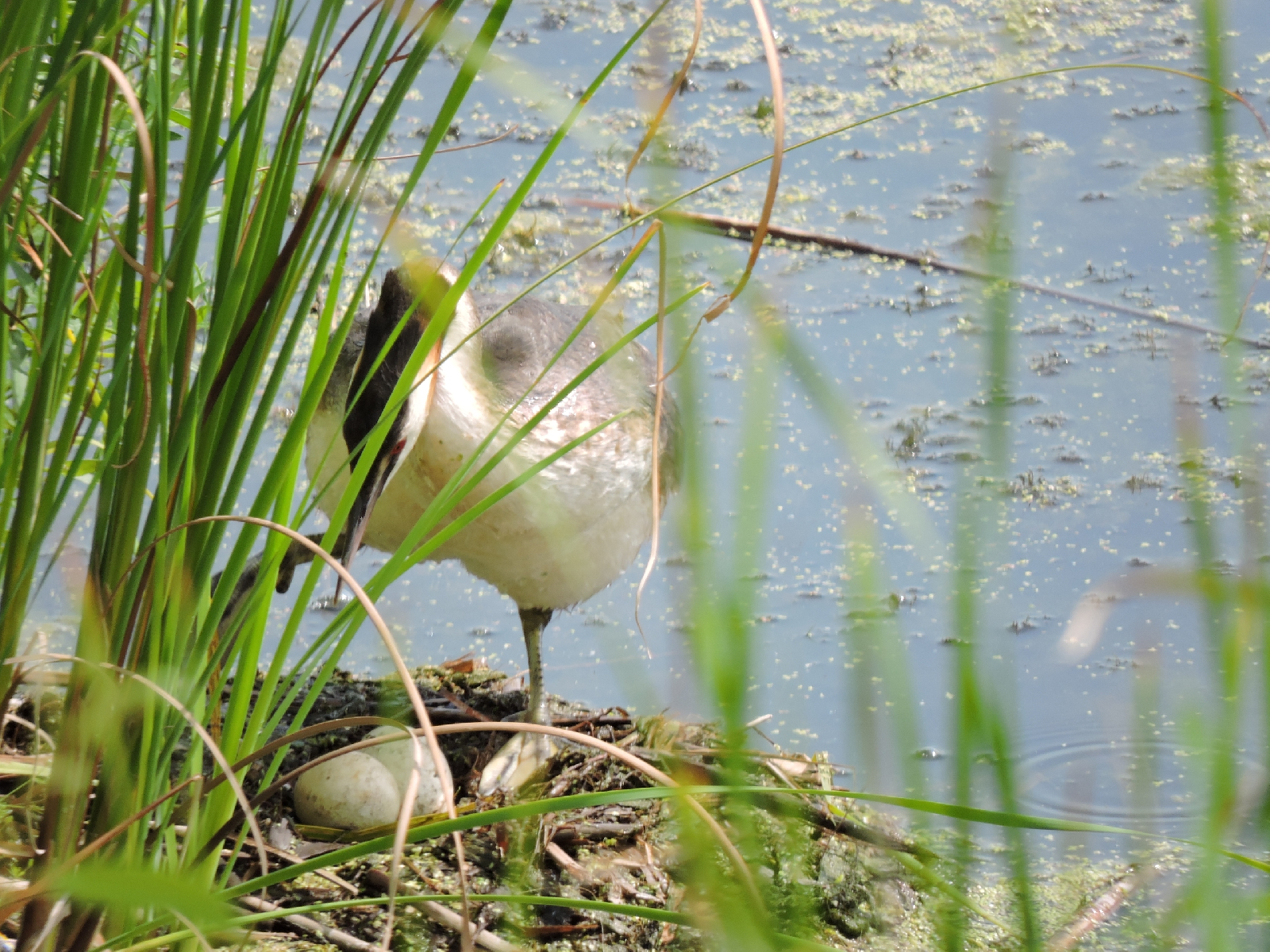 Фотоконкурс - 2025!
